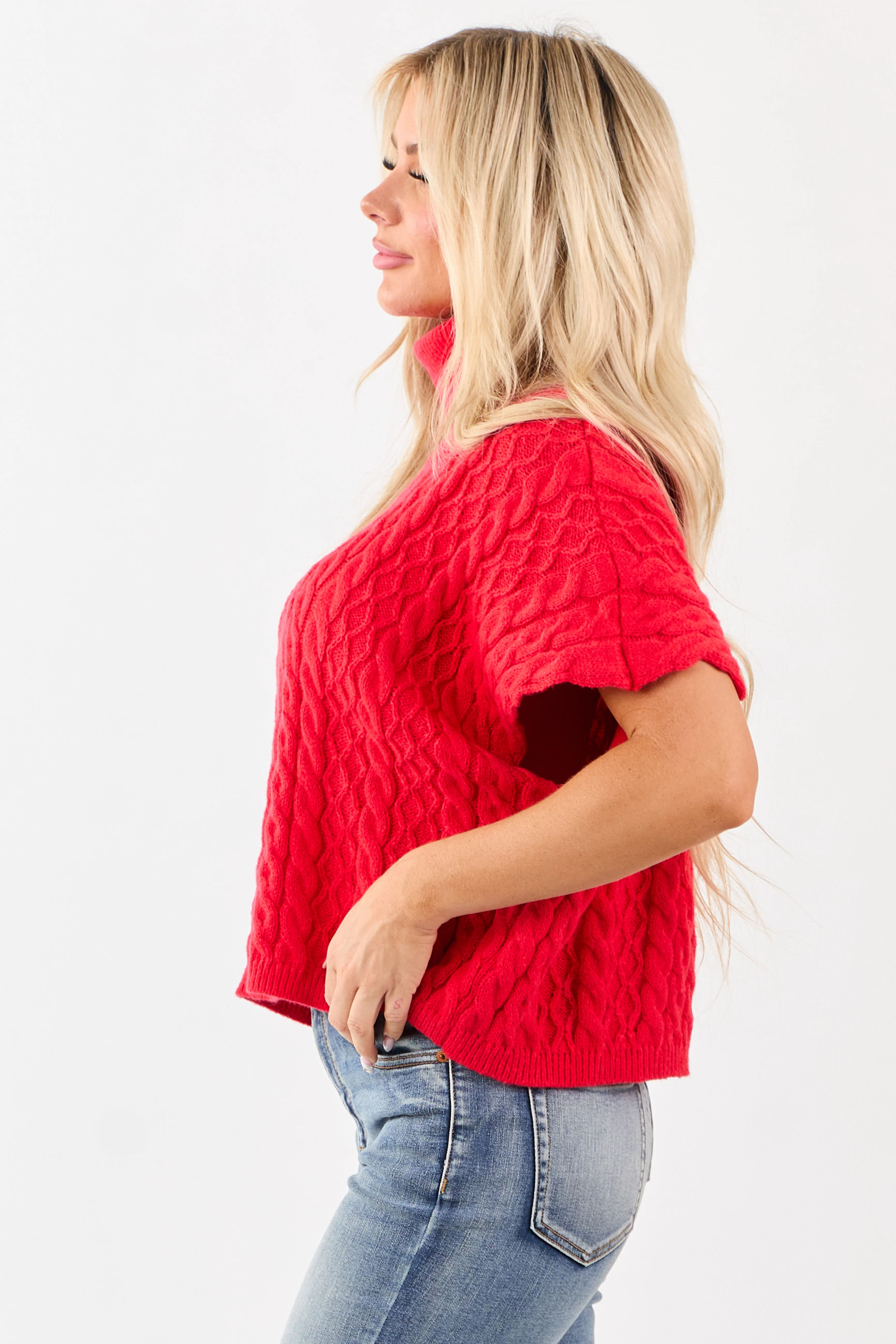 Lovelo Lipstick Cable Knit Turtleneck Sweater - Image 4