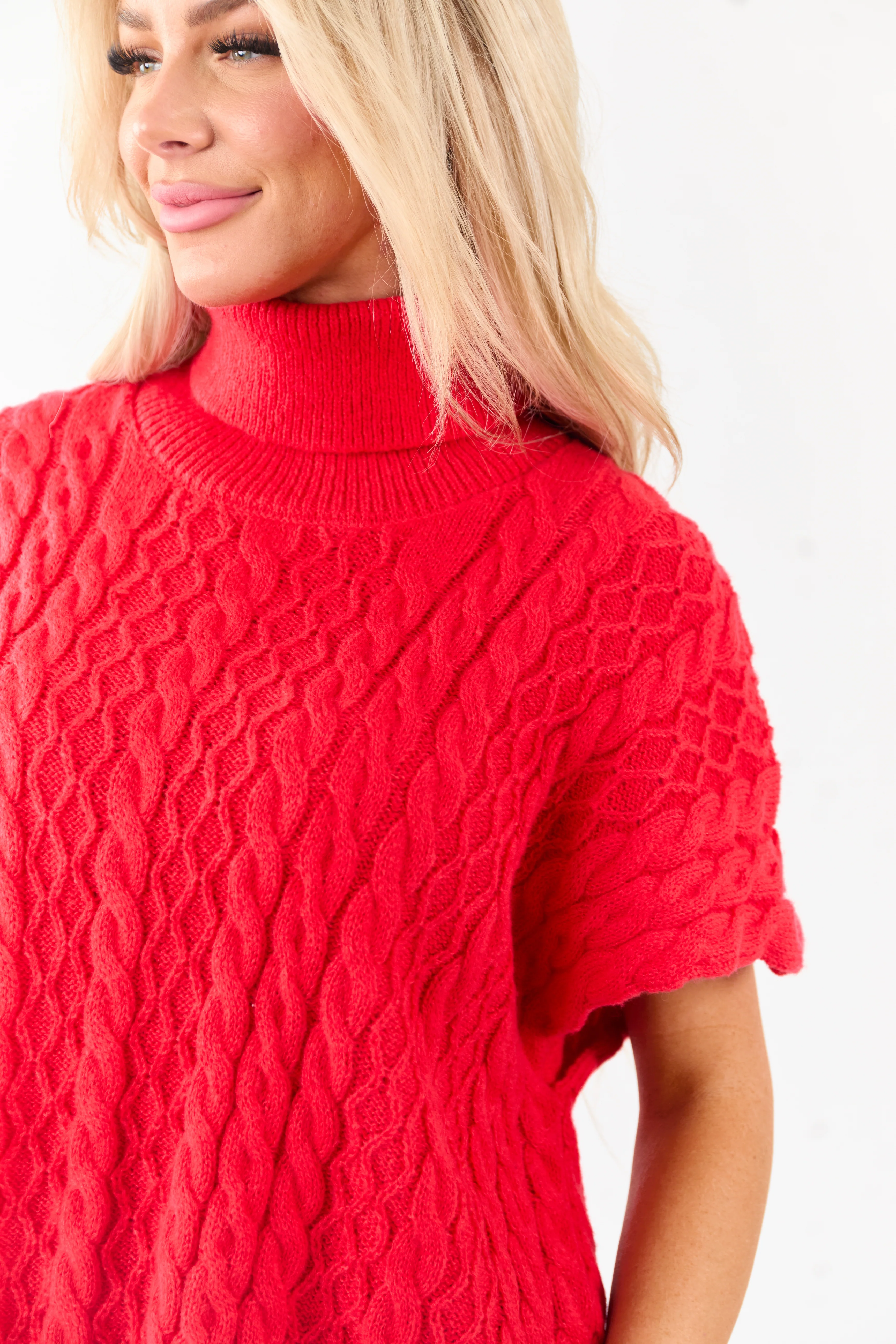 Lovelo Lipstick Cable Knit Turtleneck Sweater - Image 6